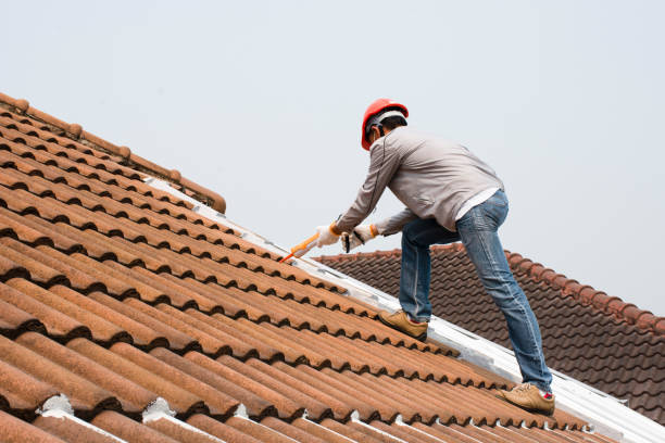 Best Roofing for New Construction  in Elkhorn, WI